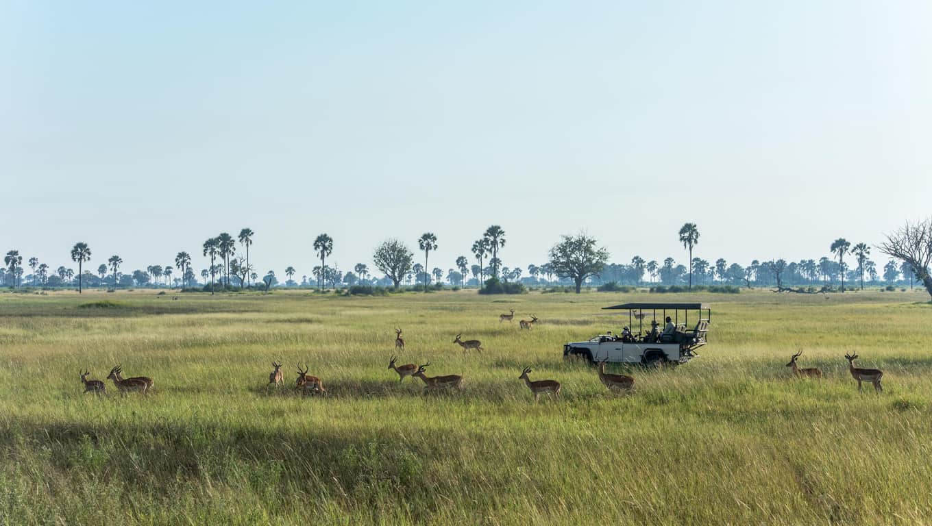 Xigera Safari Lodge - Safari At Moremi Game Reserve